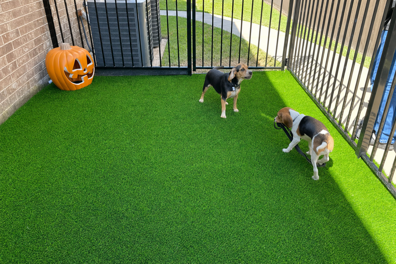 Artificial Turf Installer services in San Juan, TX