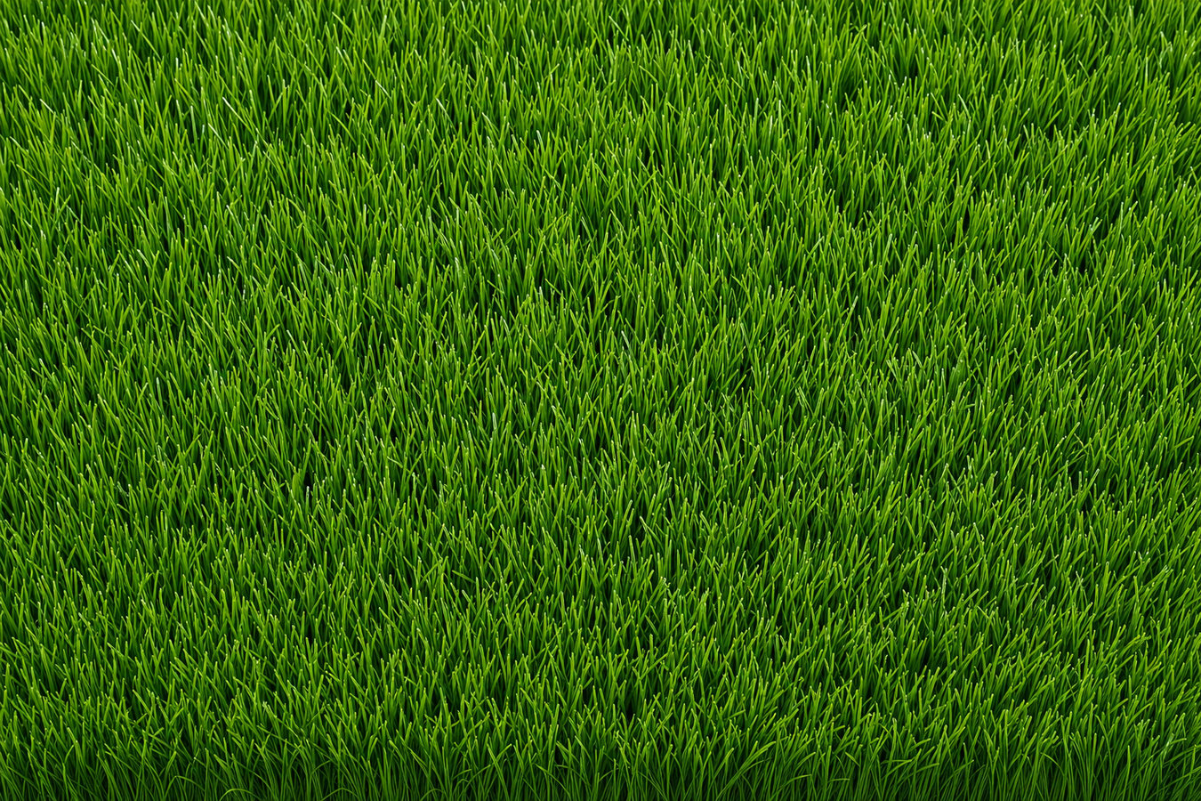 Synthetic lawn turf in Alton, TX